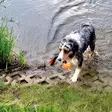 Nobby TPR Ball ‚Wafer‘ Schwimmendes Trainingsspielzeug mit Ballseil - Hundetrainingsspielzeug - 4033766518164 - 3