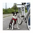 Trixie Biker Set for Dogs - Dog Training Aids - 4011905012834 - 1