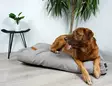Tujoma Luxus Muurila Mattress - Dog Beds and Blankets - 6430035770724 - 9
