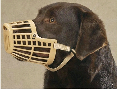 Maulkorb aus Plastik - Hundemaske und Halsbänder - KOPPA4 - 1