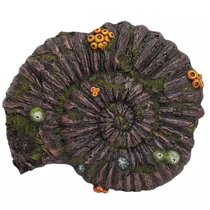 Aqua Ornaments Nobby Ammonite Fossil 28724 Aquarium Decoration - Aquarium Decorations - 4033766287244 - 1