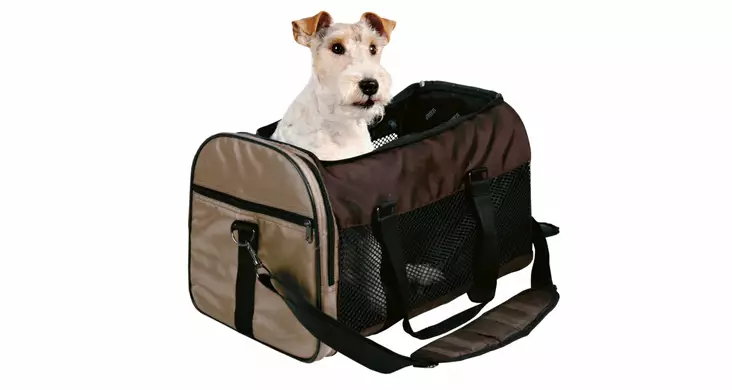 Trixie Transport Bag - Dog Carriers - 4011905288734 - 1