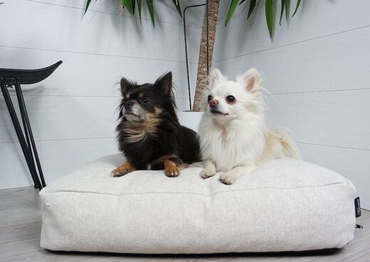 Tujoma Luxus Muurila Mattress - Dog Beds and Blankets - 6430035770724 - 1