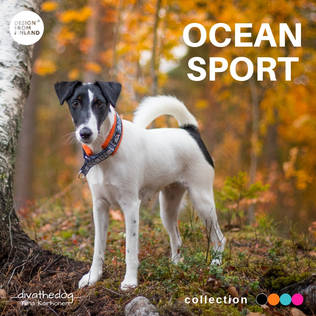 Finnero Ocean Sport Halsband für Hunde - Halsbänder mit halber Zugkraft für Hunde - 6438406000975 - 2