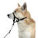 Karlie Master Control Muzzle for Dogs - Dog Muzzles - 4016598230015 - 2
