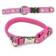 Bambino Collar for Small Dogs or Cats - Harnesses - 6438406006465 - 2