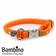 Bambino Collar for Small Dogs or Cats - Harnesses - 6438406006465 - 1