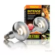 ExoTerra Intense Basking Spot 150W - Terrarium Lighting and Heating - 015561221405 - 1