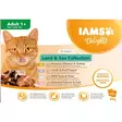 IAMS Cat Delights Gravy Multipack Meat & Fish - Wet Cat Food Multipacks - 8710255100425 - 1