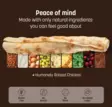 No-Hide Chicken S - Dog Chew Bones - 810132872235 - 2