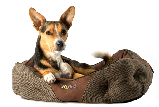 BecoBed Hundebett - Hundebetten mit Rand - 5060189751105 - 1