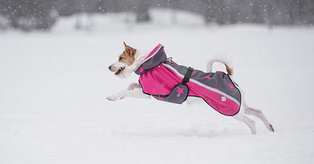 Dog It Life Raincoat for Dogs - Dog Coats and Overalls - PERUSA25 - 1