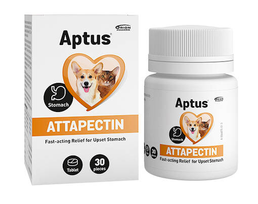 Orion Pharma Aptus Attapectin Mineral Feed Supplement 30 Tablets - Dog Supplements - 6432100011305 - 1