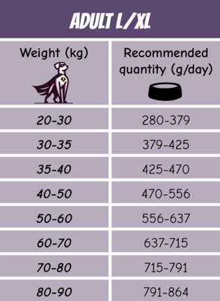 POW! Dog Adult L/XL Single Protein Pork Dog Food - Specialty Dry Foods - 7350040129906 - 2