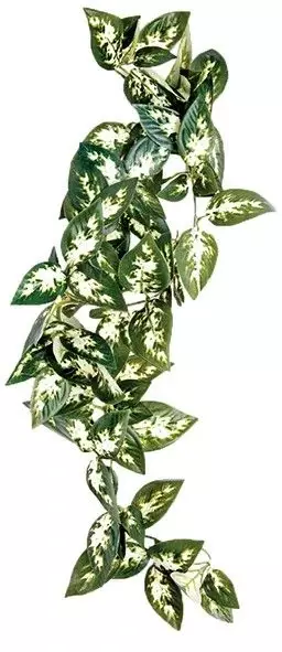 Komodo Borneo Hanging Vine 23cm - Terrarium Decor - 5023556462066 - 1