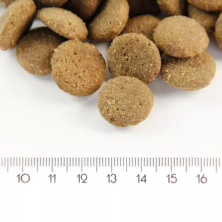 ProBooster Adult Maxi Chicken 12kg - ProBooster Dry Dog Food - 6438411006016 - 2