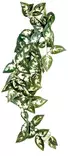 Komodo Borneo Hanging Vine 23cm - Terrarium Decor - 5023556462066 - 1