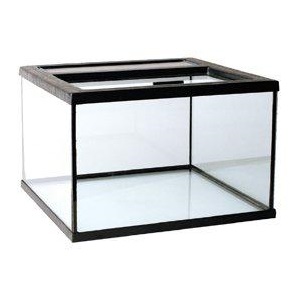 TERRARIUM TOPP 60x40x40CM Glass Terrarium - Terrariums and Transport Boxes - 7350004258536 - 1