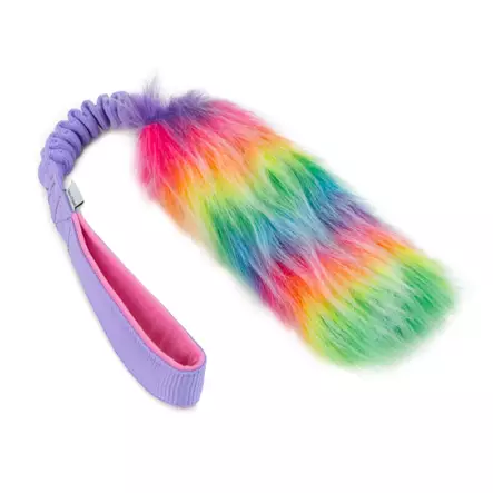 Zayma Regnbågsbit - Hundträningsleksaker - 5905771510367 - 2