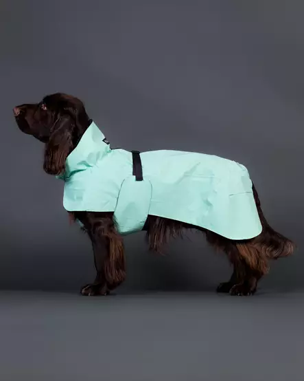 Paikka Raincoat Cabbage 25cm - Hundjackor och overaller - 6440003206377 - 2
