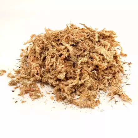 New Zealand Sphagnum Moss - 150g, 2.8L - Terrarium Bedding and Substrate - 097612200287 - 2