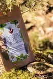 Canis Calma 75g - Dog Supplements - 6429830298717 - 4