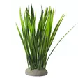 Nobby Aqua Dekoration Vallisneria - Aquariumdeko - 4033766287657 - 1