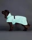 Paikka Raincoat Cabbage 25cm - Hundjackor och overaller - 6440003206377 - 2