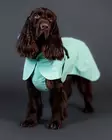 Paikka Raincoat Cabbage 25cm - Hundjackor och overaller - 6440003206377 - 4