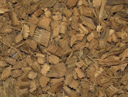 Nobby Coco Streu Kokosnudeln 10l - Terrarium Einstreu und Substrat - 4033766811067 - 1