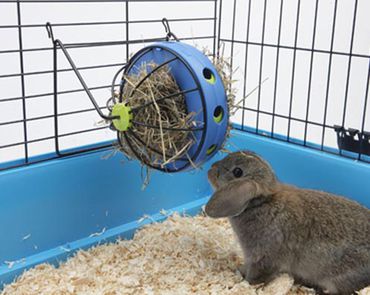 Savic Hö- och Snacksdispenser - Kaniner och gnagare leksaker och aktivering - 5411388001957 - 1