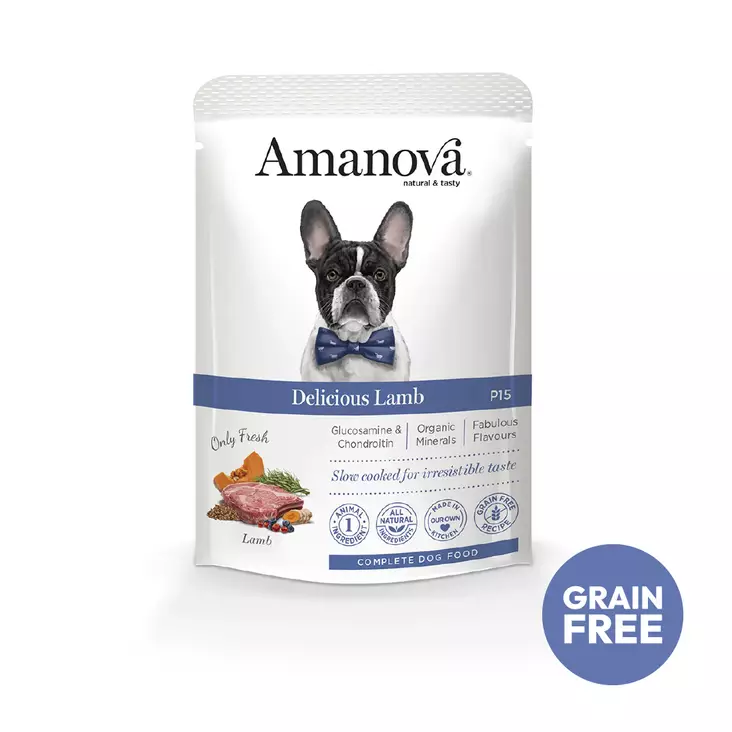 Amanova Dog Delicious Lamb 100g - Dog Wet Foods - 8413037372767 - 1