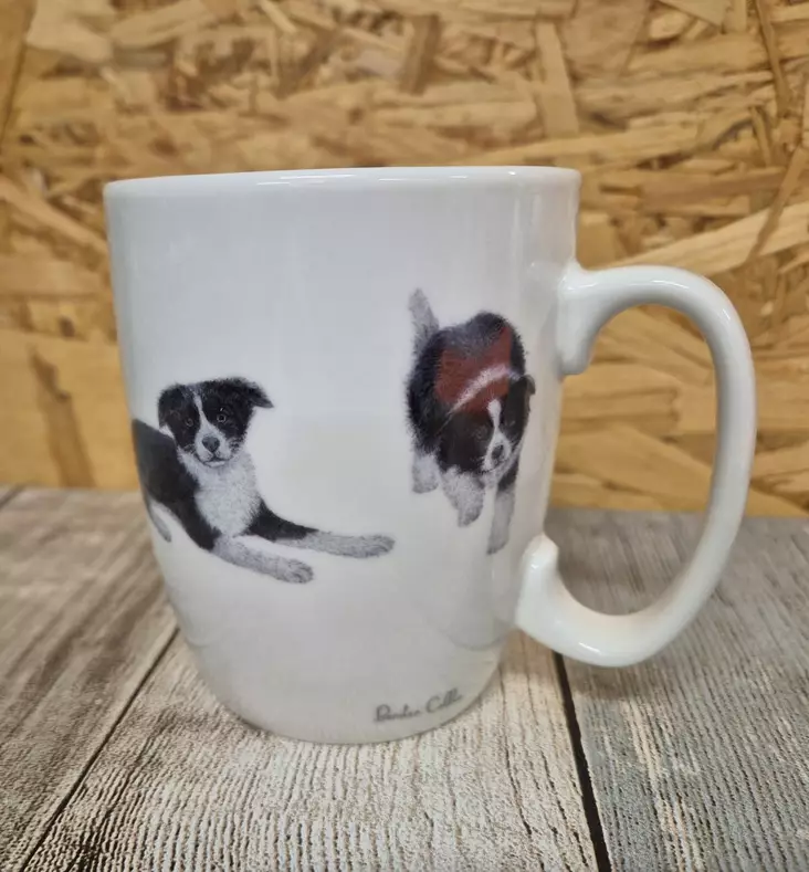 Otter House Border Collies Tasse - Tierbezogene Produkte - 5017680037917 - 1