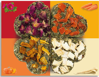 JR Farm Lucky Quartet 60g - Rabbit and Rodent Treats - 4024344214738 - 2