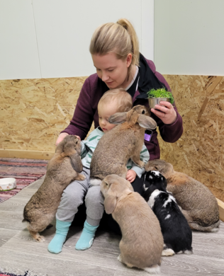 Gutschein für die Pupukahvila Puputerapie für eine Person 8€ - Tierbezogene Produkte - LAHJAKORTTI8 - 1