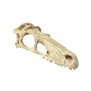 Raptor Skull Ornament - Terrarium Decor - 701029829428 - 1