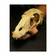 Raptor Skull Ornament - Terrarium Decor - 701029829428 - 2