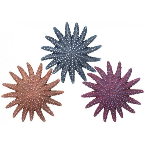 Nobby Aqua Ornaments Sjöstjärna akvariedekor - Akvariedekorationer - 4033766283178 - 1