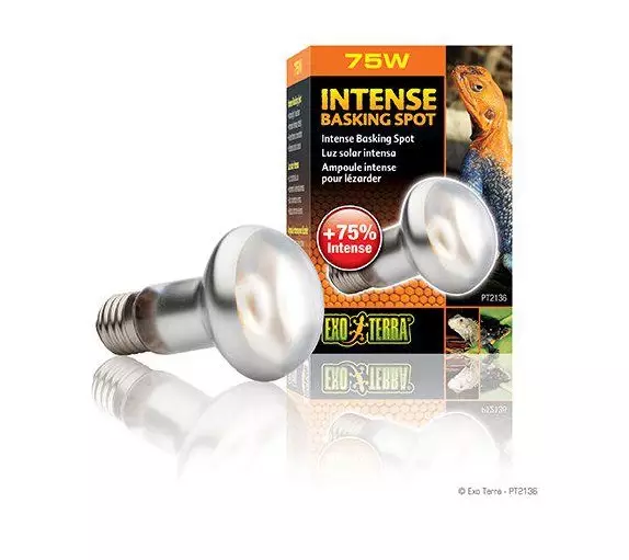 ExoTerra Intensiv Värmespot 75W - Terrarium belysning och uppvärmning - 015561221368 - 1