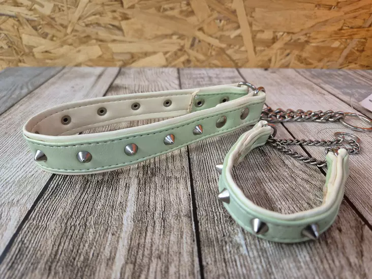 Koiratar halvstrypande nithalsband i ljusgrön - Halvstrypkoppel för hundar - KOIRATARV28 - 1