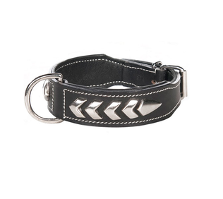TopCanis Massiv Lederhalsband - Hunde Lederhalsbänder - 6430042791569 - 1