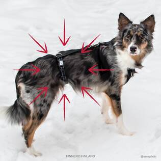 Finnero Rescue Harness Stopper - FinNero Dog Harnesses - 6438406006649 - 2