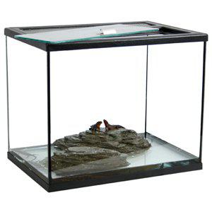 TERRARIUM TOPP Glass Terrarium 40x28x35CM - Terrariums and Transport Boxes - 7350004258529 - 1