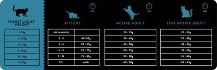 Celtic Salmon Herring Trout 2,5kg - Specialized Dry Cat Food - 5425038502619 - 2