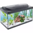 Tetra Starter Line 54 L Aquarium - Aquariums - 4004218305649 - 1