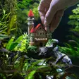 Aqua Ornaments "Schloss mit Pflanzen" 28662 Aquariendekoration - Aquariumdeko - 4033766286629 - 2