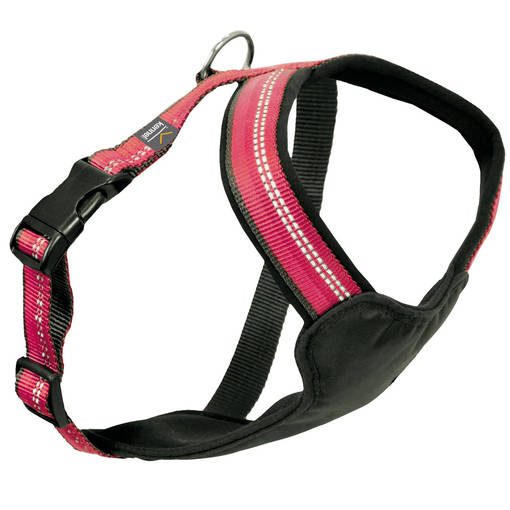 Kennel Equip Dog Harness - Dog Harnesses OUTLET - 7312131950219 - 1