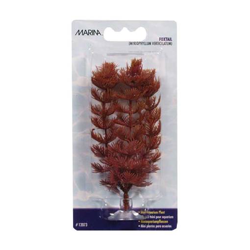 Marina Foxtail prydnadsväxt för akvarium - Akvariedekorationer - 015561120739 - 1