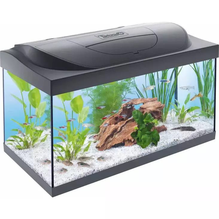 Tetra Starter Line 54 L Aquarium - Aquariums - 4004218305649 - 1