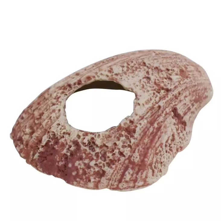 Aqua Ornaments Nobby Shell 28729 Aquarium Decor - Aquarium Decorations - 4033766287299 - 1